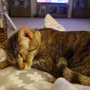 Meet your Posher, Vicki